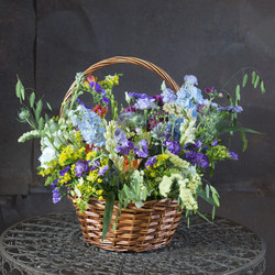 Similar image 22051044