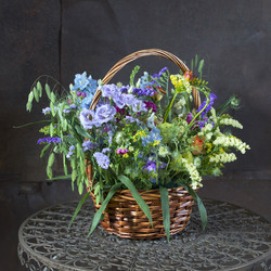 Similar image 22051054