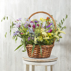 Similar image 22051062