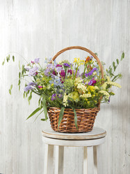 Similar image 22051064