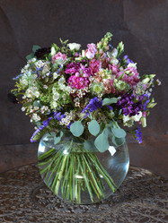 Similar image 22051065