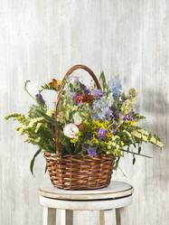 Similar image 22051068