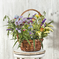 Similar image 22051077