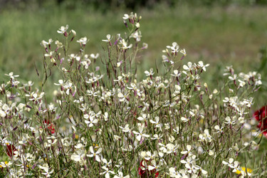 Similar image 22056694