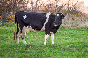 Similar image 22051906