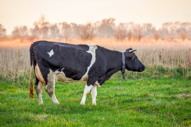 Similar image 22051907