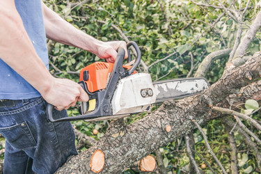 Similar image 22051919