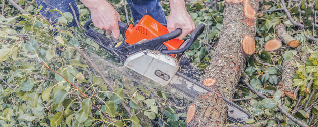 Similar image 22051920