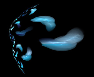 Similar image 22055784