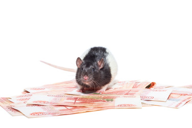 Similar image 22052461