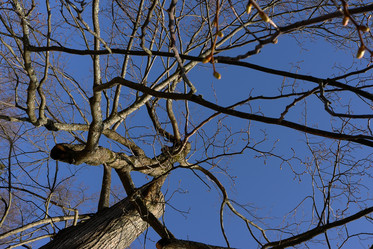 Similar image 22051440