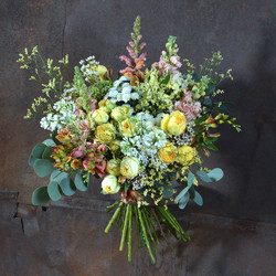 Similar image 22051524