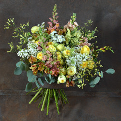 Similar image 22051525