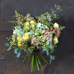 Similar image 22051526