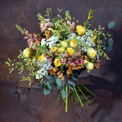 Similar image 22051529