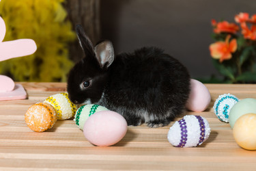 Similar image 22051389