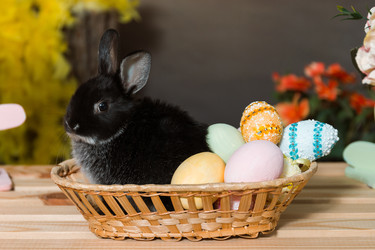 Similar image 22051390