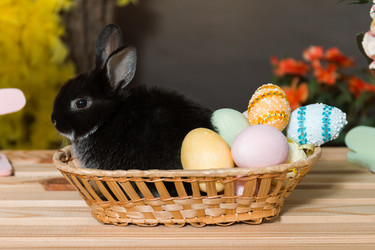 Similar image 22051391