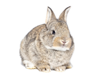 Similar image 22052505