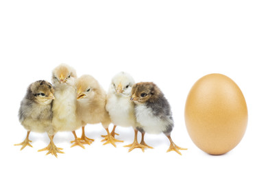 Similar image 22052507