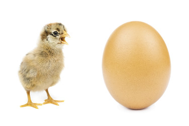 Similar image 22052513