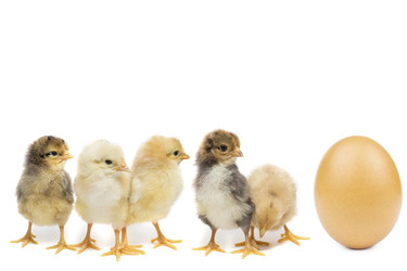 Similar image 22052517