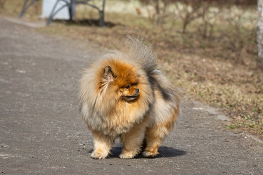 Similar image 22052518