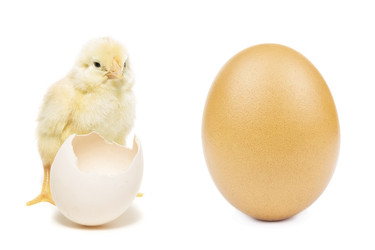 Similar image 22052520