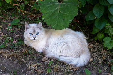 Similar image 22057440