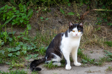 Similar image 22057441