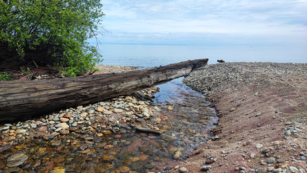 Similar image 22051105