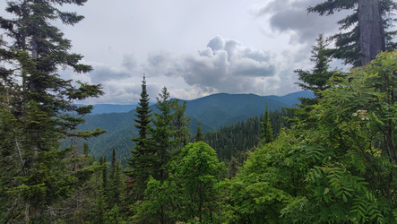 Similar image 22054758