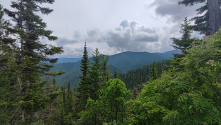 Similar image 22054759