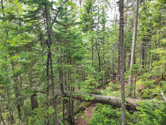 Similar image 22054760