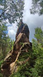 Similar image 22051117