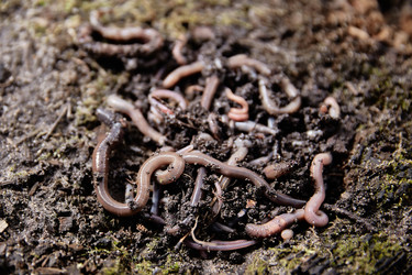 Similar image 22051153