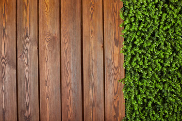 Similar image 22051160