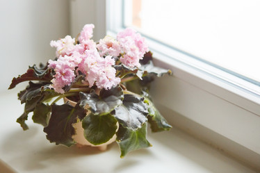 Similar image 22051184