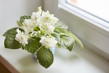 Similar image 22051185