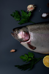 Similar image 22051469