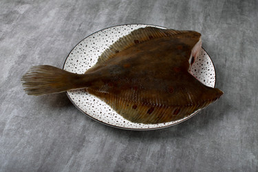 Similar image 22051473