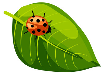 Similar image 22053161