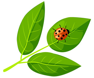 Similar image 22053163