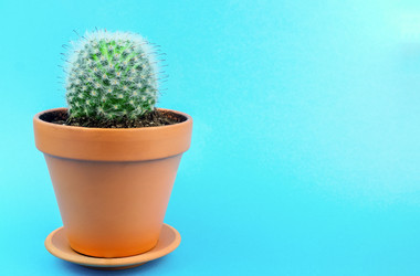 Similar image 22052524