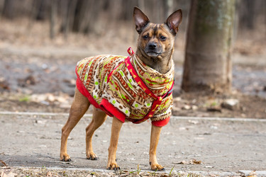 Similar image 22052525