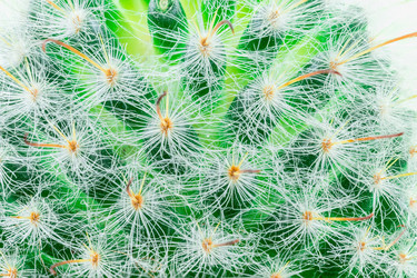 Similar image 22052526