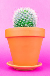 Similar image 22052530