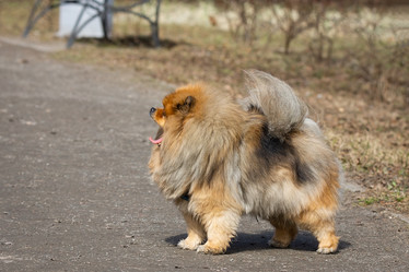 Similar image 22052539