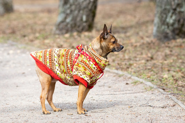 Similar image 22052543