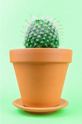 Similar image 22052548